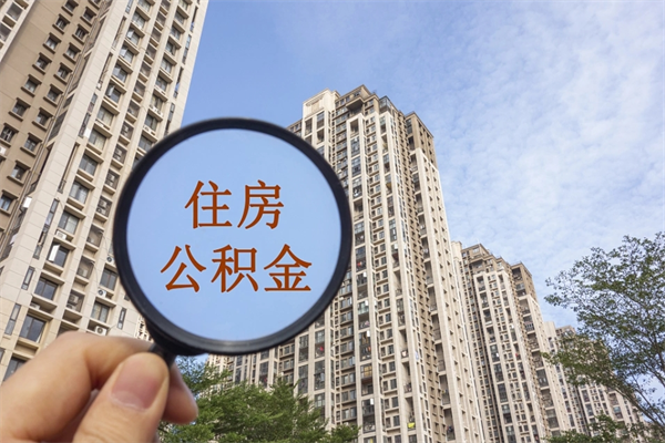 赤壁深圳公积金（深圳公积金首页）